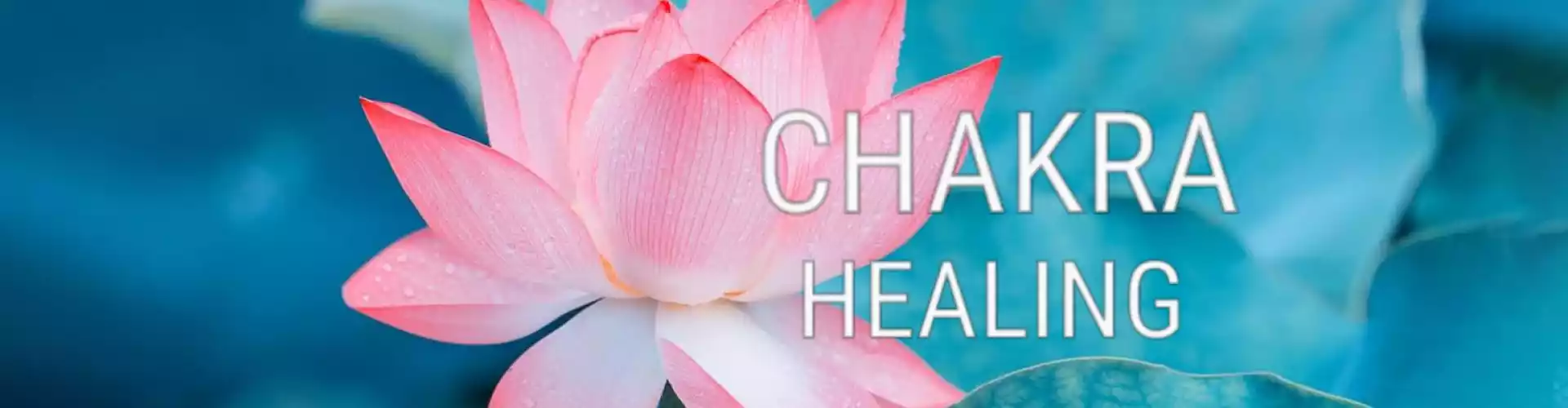 Bundle: 治愈你的脉轮系列全部 8 门课程 - Online Course by Learn It Live